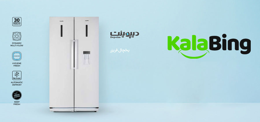 یخچال فریزر دیپوینت مدل D4