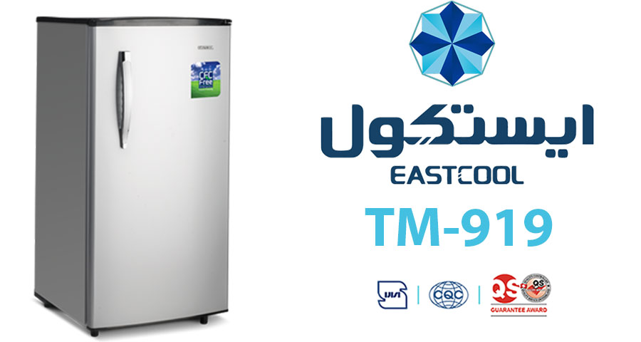 یخچال ایستکول مدل TM-919
