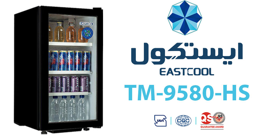 یخچال ایستکول مدل TM-9580-HS