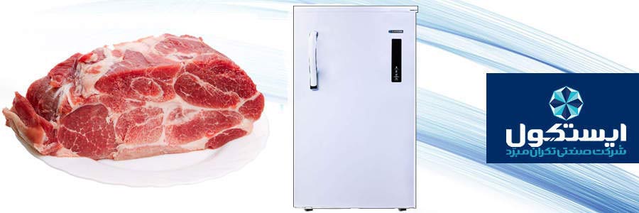 فریزر تک ایستکول مدل TM-959-95